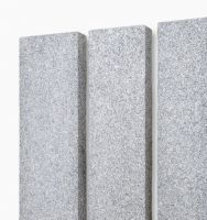 Bravo Exacta Palisade  8x30x100 cm