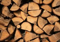 Brennholz 25 cm