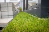 Noris Rollrasen Spitzenqualität