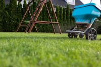 Schwab Spiel-/Gebrauchsrasen Premium