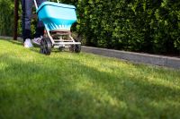 Schwab Halbschattenrasen